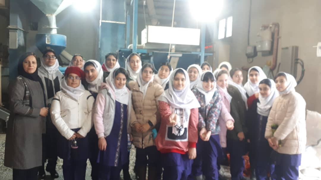 بازدید دختران ششم از کارخانه برنجکوبی